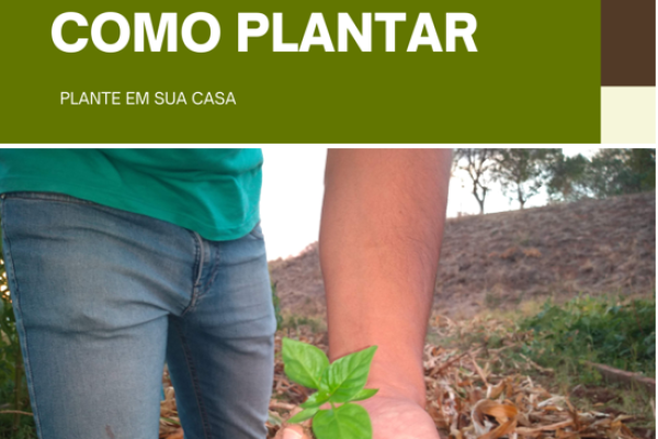 capa ebook