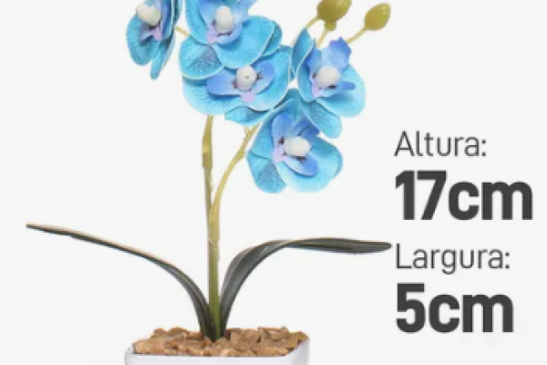 orquidea 2